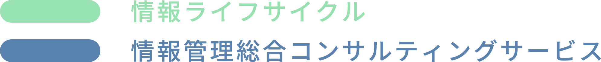 情報ライフサイクル/情報管理総合コンサルティングサービス